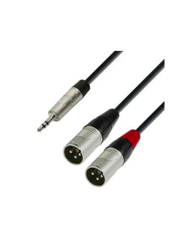 Câble Mini-Jack 3,5 mm stéréo vers 2 x XLR mâle